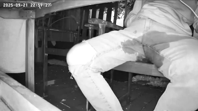 Amateur Boy Caught on Night Vision Cam Peeing Himself Sitting at the Garden Table (he Totally Wets His Pants) )