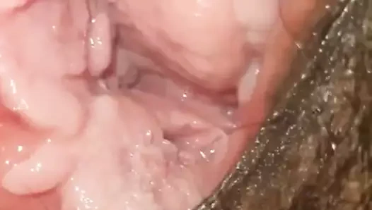 lanet ve zevk desi kıllı KEDİ