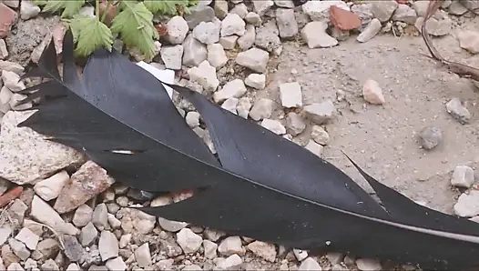 Mastürbasyon, Parmaklama, Dildo Emme Ve Bu Cadılar Bayramında Çıplak Duş 25 Içine Boşalma