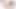 Her zaman bir porno çekmek istedi çünkü o her zaman hor