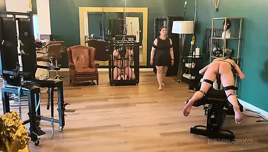 Dominatrix zindanında sidik sırılsıklam bağlı köleler