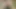 Erkekler kaslı web kamerası