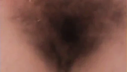 Çalı gösteriliyor