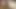 Hintli köylü desi tarzı sakso videosu