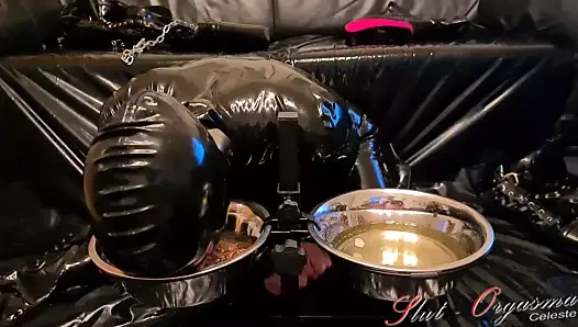 Köle slut-orgasma celeste köpek maması yeme ve çiş içme