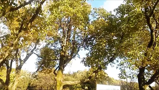 akira kobayashi'nin şarkısı