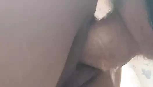 Lanet benim kedi ve pissing içeride benim kedi