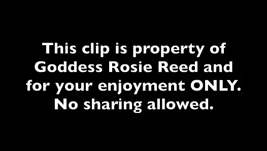 Payer Not a Player - deusa dominadora financeira Rosie Reed humilha escravos perdedores em dinheiro para mais tributos - Ébano Financial Dom
