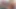 Selena'nın zaman arasında rahatlatıcı oyunları