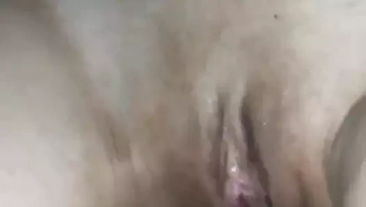 ben beyaz bulgar ıslak KEDİ oynamak