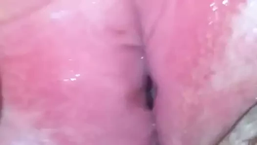 karısının yaylak kedi