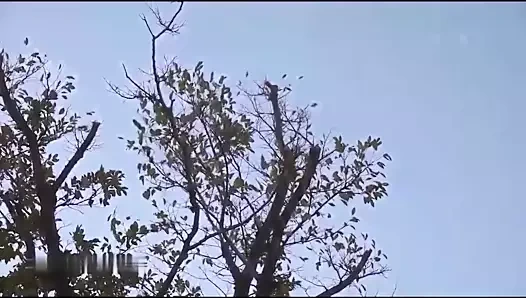 Kardeş-in-law ve onun arkadaşı bölüm 2