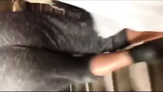 seksi yürüyüş