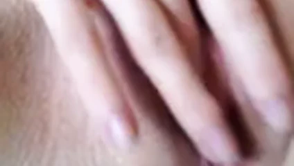 Mükemmel kedi güzel yakın