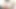 A prostitute in Pattaya uses a dildo to penetrate her vagina and sends videos to clients. RealThaiSolo