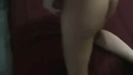 Porno ineği: carol: domaltmalı