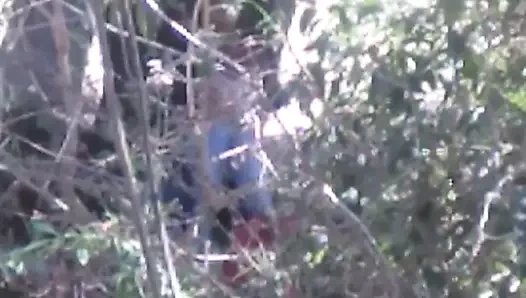 Pareja cojiendo en bosque morelia Michoacan