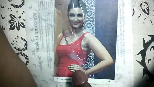 Parineeti Chopra'ya saygı duruşu