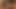 Veronica jett teaser 13