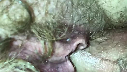 Kıllı bir çalı ile bir akşam