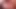 bbw's kedi üzerinde cumming
