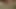 Olgun fahişe köpek stili alır