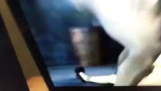 Minik zavallım büyük zenci yarağı için boşalıyor