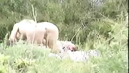 Oral seks ve cilt bakımı retro ve vintage