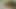 Indian beautiful girl Hardcore sex with her boyfriend