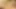 sıska Asya twinks içinde barebacking eylem sonra dicksucking