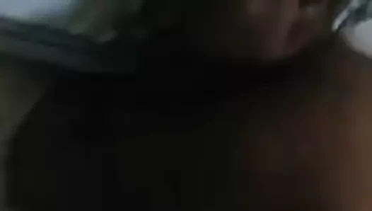 Png 2020 köpek beyaz yayla bbw