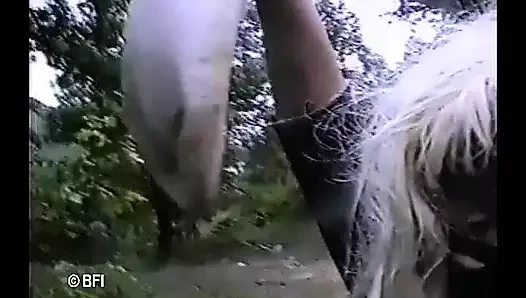 Bir kölenin itaatkarı