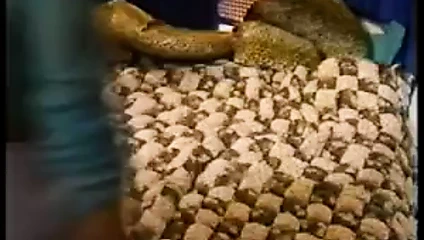 Olgun ve yaşlı asla durmaz