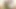 Indian Girl Trades Pussy for Family's Future and Gets Creamed  -AI Generated