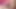 Orta yaşlı seksi kadın gırtlağına kadar yarak emiyor