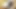 viere mit zwei blonden cosplay schlampen mit viel blasen und ficken