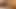 Abanoz kedi oyun üzerinde web kamerası
