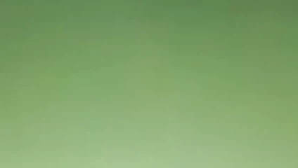 Gloria padre Hurtado