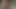 Kafamı tutuyor ve gırtlağına kadar sokuyor