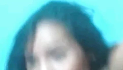 Mercyjane Singapurlu tatlı kedi