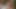 Zum ficken treffen sich alle im Wald