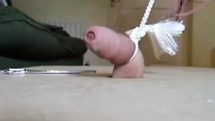 Bir horozun toplam kullanımı