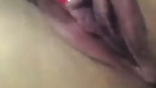 Şimdiye kadarki en ıslak kedi