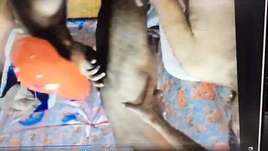 Asya olgun emme oğlan