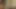 Elle fanning 1srcum haraç ilk bölüm
