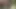Travesti eğiliyor ve sıkı götünü yalatıyor ve deliniyor