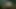 Anal Paprika (HD)
