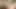 Dana DeArmond teaser 3
