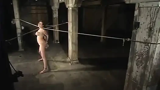 Sasha Sparks