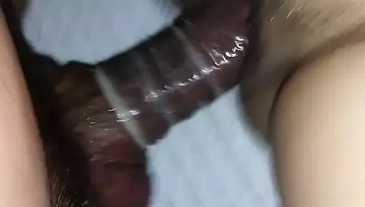 misyoner meksika ıslak KEDİ